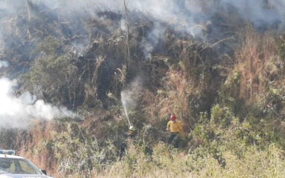Ante las altas temperaturas, alertan por posibles incendios