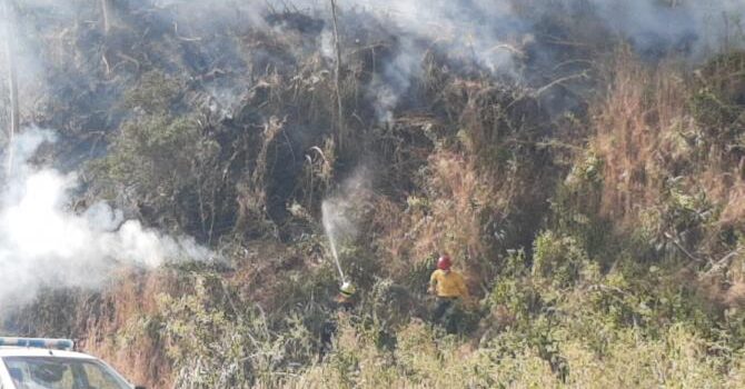 Ante las altas temperaturas, alertan por posibles incendios