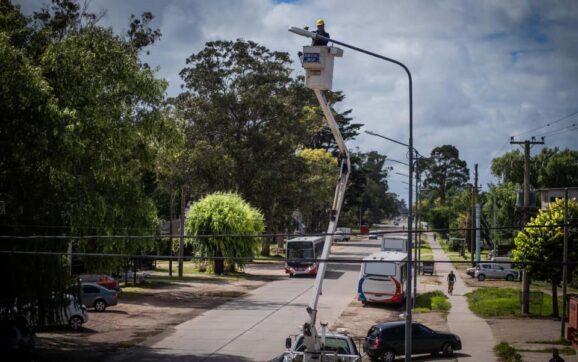 Finalizan las obras de nuevo alumbrado público en la avenida Constitución