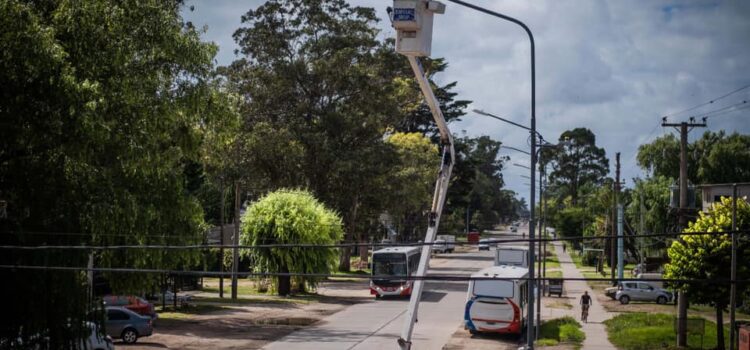 Finalizan las obras de nuevo alumbrado público en la avenida Constitución