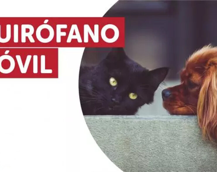 Nuevo cronograma para el quirófano móvil de animales