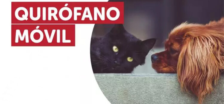 Nuevo cronograma para el quirófano móvil de animales