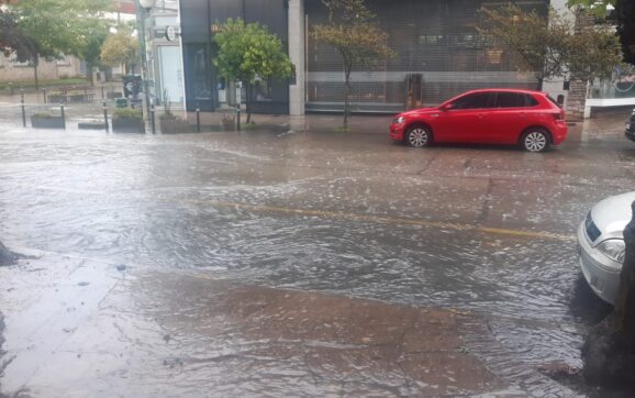 LO QUE LA LLUVIA NOS DEJO