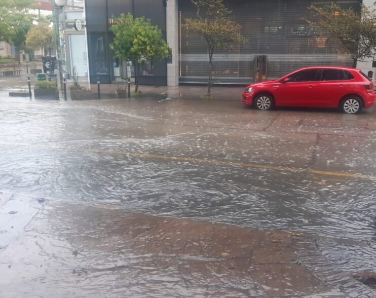 LO QUE LA LLUVIA NOS DEJO