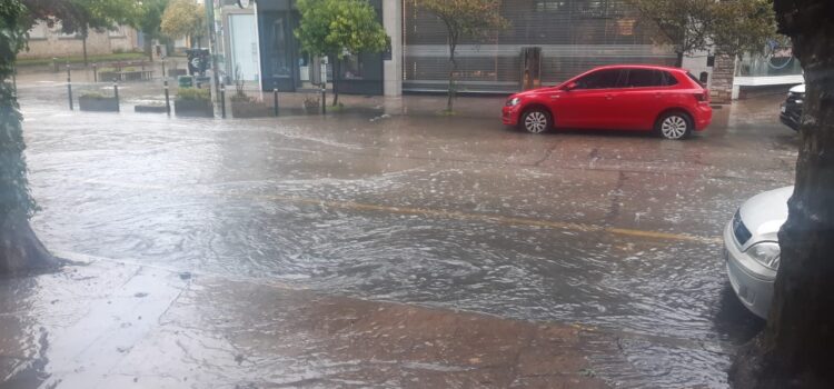 Alerta meteorologica