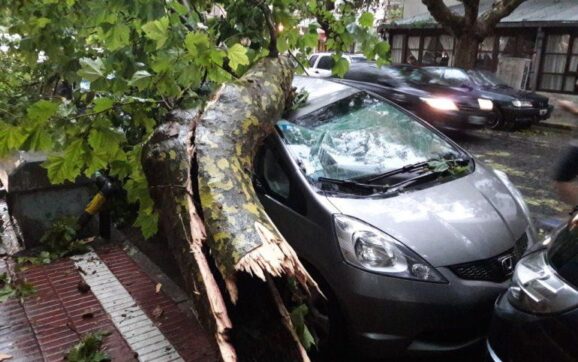 EL TEMPORAL AFECTA A VARIOS BARRIOS DE LA CIUDAD DE MAR DEL PLATA