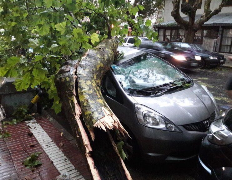EL TEMPORAL AFECTA A VARIOS BARRIOS DE LA CIUDAD DE MAR DEL PLATA