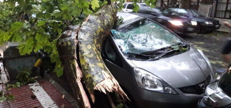 EL TEMPORAL AFECTA A VARIOS BARRIOS DE LA CIUDAD DE MAR DEL PLATA