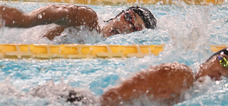 Los nadadores marplatenses sumaron tres medallas en el Sudamericano Absoluto de natación