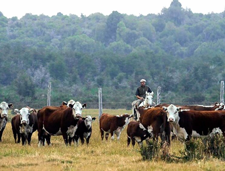 – ACUERDO CON LA MESA DE ENLACE  Manzur: “Con la liberación de exportaciones de carne, se refuerzan políticas que cuidan empleo”