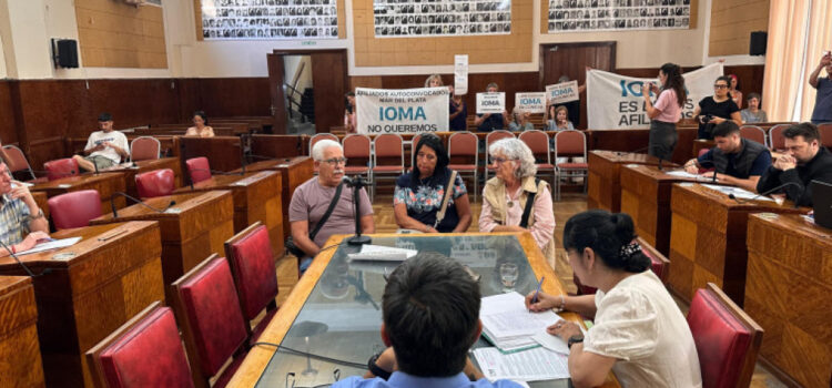 Autoconvocados de IOMA presentes en la Comisión de Salud